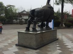 -江湾神木园