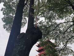 -梵天禅寺