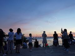 -宝安西湾红树林湿地公园