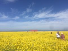 -青海湖国家重点风景名胜区