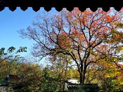 -塔川景区