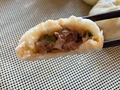 鲜肉小笼包-桐香园小笼包(百井坊巷店)