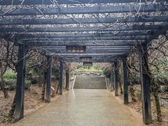 -九龙潭景区
