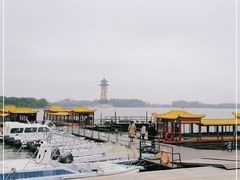 -溱湖国家湿地公园