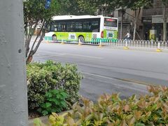 -刘胖子家常菜·蹄花焖藕(兴业店)