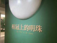 -八卦楼风琴博物馆