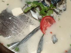 -全乐鱼馆·淳牌有机鱼直营店