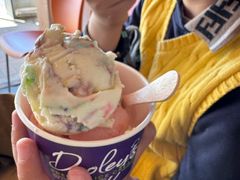 -Dooley's Premium Ice Cream