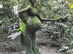 -呀路古热带植物园