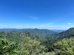 -大岭沟猕猴桃谷风景区