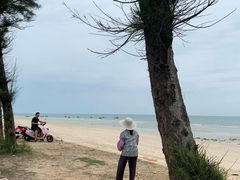 -贝壳沙滩