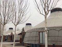 -九十九顶毡房(阜石路店)