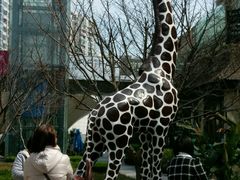 门面-证大大拇指广场(芳甸路店)