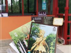 -丽江玉水寨