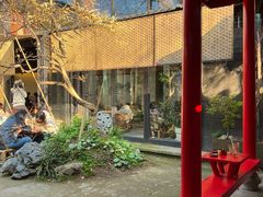 -Metal hands·铁手咖啡