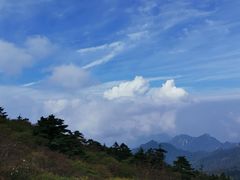 -秦岭风景区
