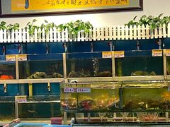 -鑫悦楼煎蟹·16年海鲜大排档