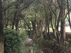 -白马涧龙池景区