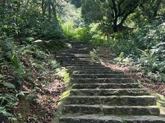 -黄埔油麻山森林公园