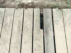 -紫颐香薰山谷景区