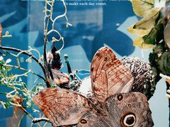 -北京国际鲜花港