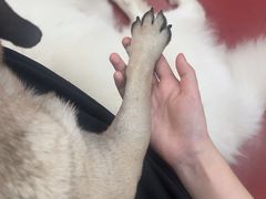 -和它·交个朋友·狗咖猫咖(爱琴海店)