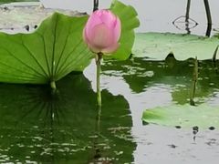 -尚贤河湿地