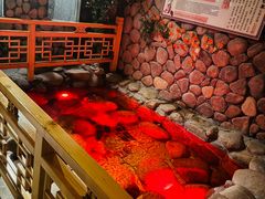 -漢頓温泉度假酒店