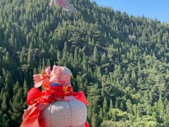 -龙口南山旅游景区