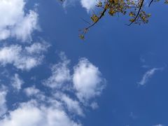 -苏州东太湖生态园