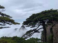 -黄山风景区