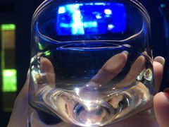 -K+全国连锁KTV(绿地缤纷天地店)