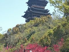 -杭州半山国家森林公园