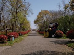-上海海湾国家森林公园