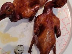 -渔意楼·驰名沙田乳鸽(五羊店)