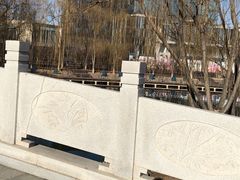 -大兴滨河森林公园