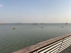 -新洲生态园