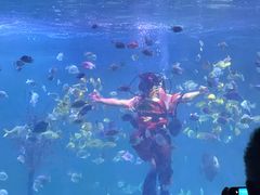 -常州海昌海洋探索馆