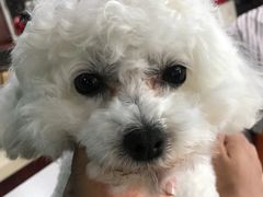 -故乡家韩国料理(丹东街店)