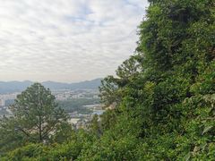 -火炉山森林公园