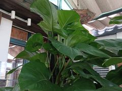 -慢丽江·云南野生菌土鸡锅(西山店)