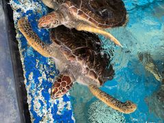 -成都浩海立方海洋公园