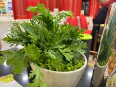 -芦月轩羊蝎子(太平桥店)
