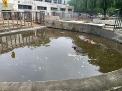 -保定市动物园