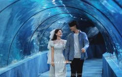 -鱼映像摄影·珍藏级影像品牌