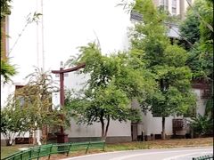 -堤角公园