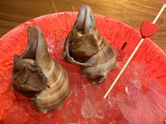 -松涛日本料理