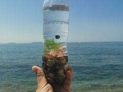 -银海大世界