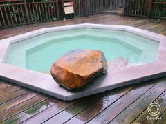 -天目湖涵田半山温泉