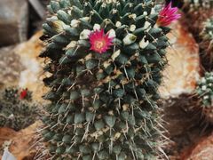 -国家植物园南园